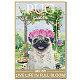 CREATCABIN Dog Tin Sign Vintage Metal Sign Poster Retro Restroom Painting Plaque Iron Sign Wall Decor Art Mural Hanging Sign for Bathroom Home 12 x 8 Inch-PUG GARDEN SINCE 1975 LIVE LIFE IN FULL BLOOM AJEW-WH0157-733-1