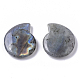 Natural Labradorite Beads G-R464-008B-2