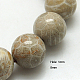 Natural Fossil Coral Beads Strands G-G212-8mm-31-2