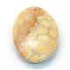 Oval Natural Fossil Coral Pendants G-R347-12-2