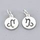 925 Sterling Silver Charms STER-T002-44S-10-2