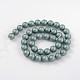 Round Shell Pearl Bead Strands BSHE-J011-6mm-A07-2