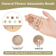 Nbeads 4 brins brins de perles d'amazonite fleur naturelle G-NB0005-09A-2
