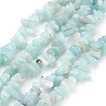 Chapelets de perles en amazonite naturelle, puces, bleu ciel, 4~11x3~8x2~10mm, Trou: 1mm, environ 32~34 pouce.