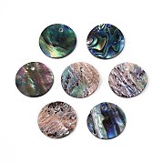 Натуральные подвески из ракушек пауа SHEL-ZX010-06-A