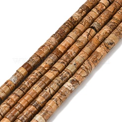 Natürliches Bild Jaspis Perlen Stränge&nbsp;G-Z110-A12-2x4mm