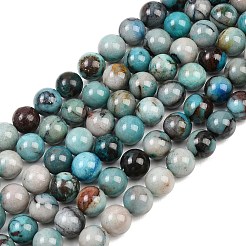 Natur Chrysokoll Perlen Stränge&nbsp;G-K405-B01-12mm