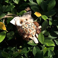 Décorations de pendentif de hibou en bois faites à la main&nbsp;HULI-PW0002-073