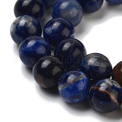 Cordes de perles de sodalite Afrique du Sud naturel&nbsp;G-S259-35-6mm