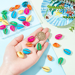 30 Stück 5 Farben&nbsp;SSHEL-GA0001-15