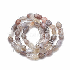 Natur Botswana Achat Perlen Stränge&nbsp;G-S331-6x8-010