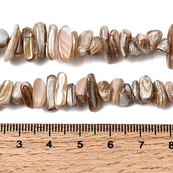 Natürlichen Süßwasser-Muschelperlen Stränge&nbsp;SHEL-A006-05