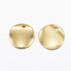 Breloques en acier inoxydable 304&nbsp;STAS-H557-39G