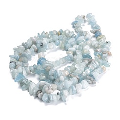 Natürliche Aquamarin Perlen Stränge&nbsp;G-G011-10