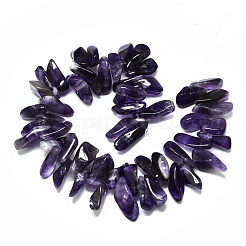 Perle di fili di ametista naturale&nbsp;G-R485-06A
