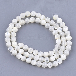 Natürlichen weißen Muschelperlen&nbsp;SHEL-T012-49C