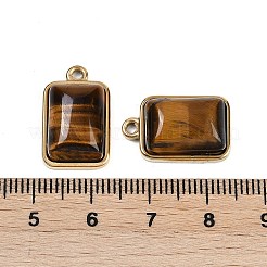 Pendentifs en œil de tigre naturel&nbsp;STAS-K291-04G-04
