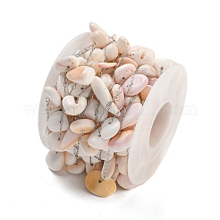 Catene in acciaio inossidabile 304 con maglie in conchiglia naturale&nbsp;CHS-G038-10P