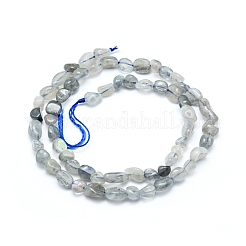 Natur Labradorit Perlen Stränge&nbsp;G-L550A-06