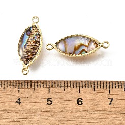 Messing Pavé natürliche Paua Muschel Verbinder Charms&nbsp;LS-KK-E794-01G-09