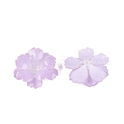 Capuchons de perles en acrylique thermorétractables&nbsp;OACR-N164-03A