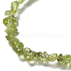 Natürlichen Peridot Perlen Stränge&nbsp;G-E607-A06