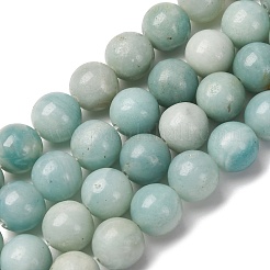 Runde natürliche amazonite Perlenstränge&nbsp;G-I183-02-12mm