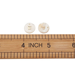 Süßwasserschale Anhänger / charms&nbsp;SSHEL-TA0001-05