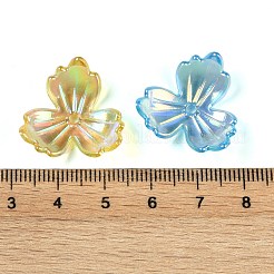 Capuchon de perles acryliques à placage uv&nbsp;OACR-B025-01A