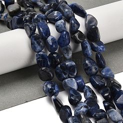 Perline sodalite naturale fili&nbsp;LS-G-P497-01E-55