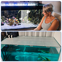 12 pannello di isolamento del fondo dell'acquario in plastica PP&nbsp;FIND-ME0003-92B