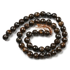 Perline bronzite naturale fili&nbsp;G-E571-42B