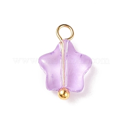 Glas Anhänger / charms&nbsp;PALLOY-JF01731