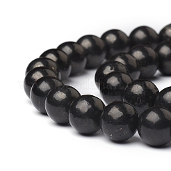 Natürliche Shungit Perlen Stränge&nbsp;G-I271-C03-10mm