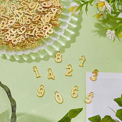 12 Satz Anhänger aus Legierung&nbsp;TIBEP-ME0001-12G