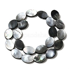 Natur schwarz Lippe Shell Perlen Stränge&nbsp;BSHE-D300-02-13x18mm