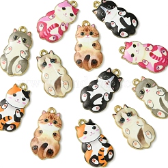 12pcs 6 pendentifs en alliage de couleurs&nbsp;FIND-FS0003-02