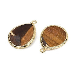 Pendentifs en œil de tigre naturel&nbsp;G-K347-08G-01