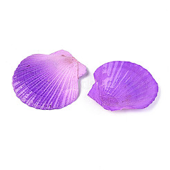 Grands pendentifs en coquillages naturels peints à la bombe&nbsp;SSHEL-T017-14B