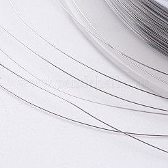 Fil d'acier&nbsp;TWIR-E001-0.1mm