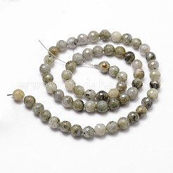 Perline labradorite naturale fili&nbsp;G-G736-04-6mm