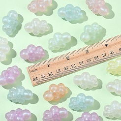 20 Stück transparente Acrylperlen&nbsp;OACR-YW0002-14
