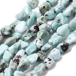 Larimar Naturperlen Stränge&nbsp;G-P601-A20-02