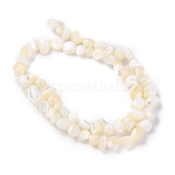 Shell perle naturali&nbsp;BSHE-B003-19