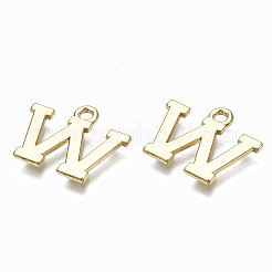 Pendentif en alliage &nbsp;PALLOY-Q441-025W-NR