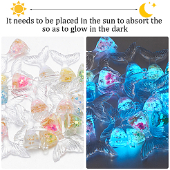 Pendenti in resina trasparente luminosa 24 pz 6 colori&nbsp;RESI-SP0001-01