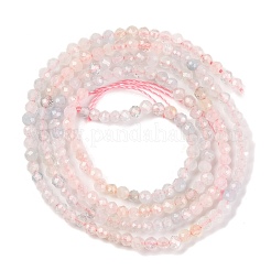 Naturperlen Stränge morganite&nbsp;G-F770-C05-03