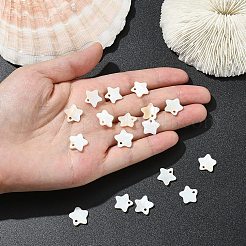 20 Stück natürliche Süßwassermuschel-Sternanhänger&nbsp;SHEL-YW0001-14