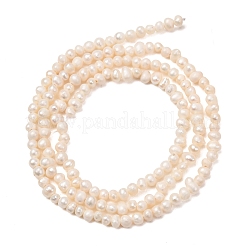 Fili di perle di perle d'acqua dolce coltivate naturali&nbsp;PA-CBABE82-08A