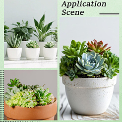 Pianta succulenta artificiale in pvc&nbsp;AJEW-SP0004-35A